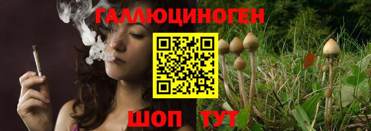 Галлюциногенные грибы Magic Shrooms  купить   Галлюциногенные грибы мухоморы  Рубцовск  Вход с VPN 