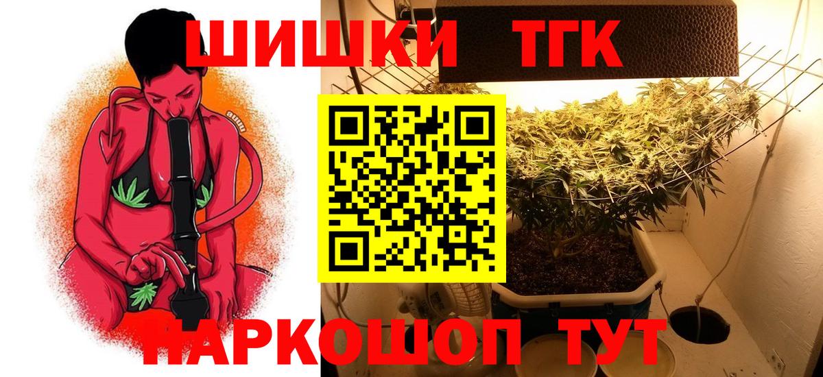 НБОМе Рубцовск